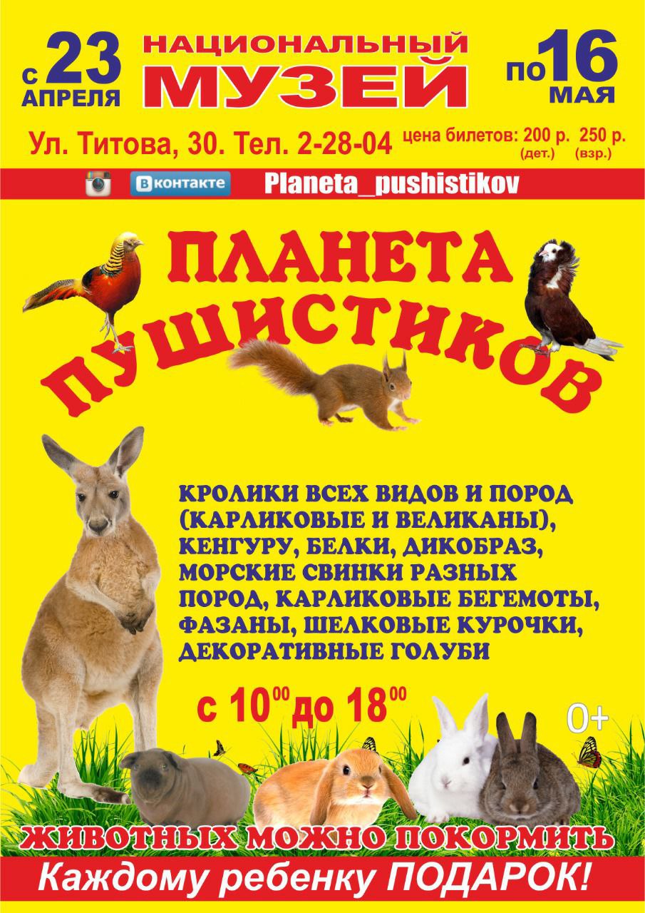 Выставка «ПЛАНЕТА ПУШИСТИКОВ» — Национальный музей имени Алдан-Маадыр  Республики Тыва